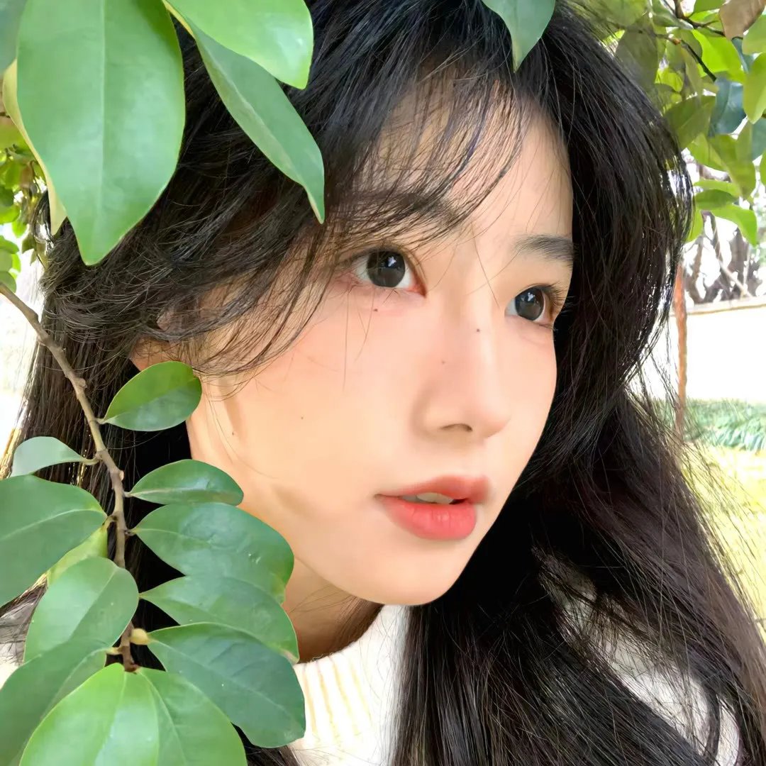 鸾凤嬉春